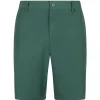 Chauncey Shorts Pine Grove