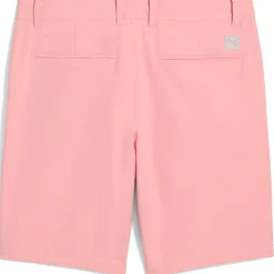 Dealer Shorts 8 Inch Pink Fruit