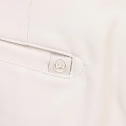 Salem Performance Classic Fit Shorts Stone